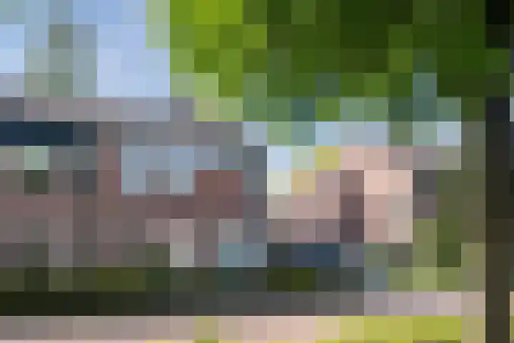 Odradastraat 72 Eersel thumbnail 4