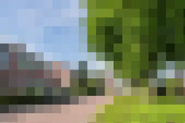 Odradastraat 72 Eersel thumbnail 5
