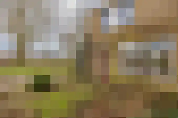 Oedsmawei 16 Boksum thumbnail 9