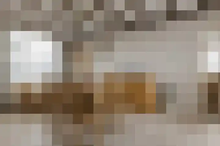 Oekelsebaan 57 Zundert thumbnail 12