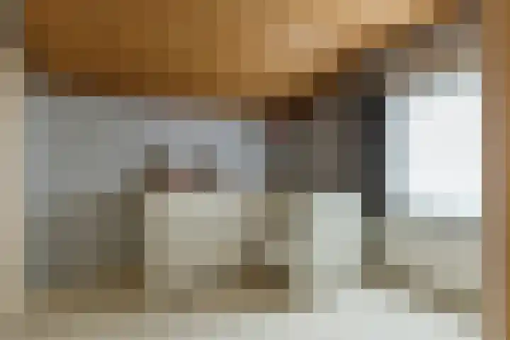 Oekelsebaan 57 Zundert thumbnail 24