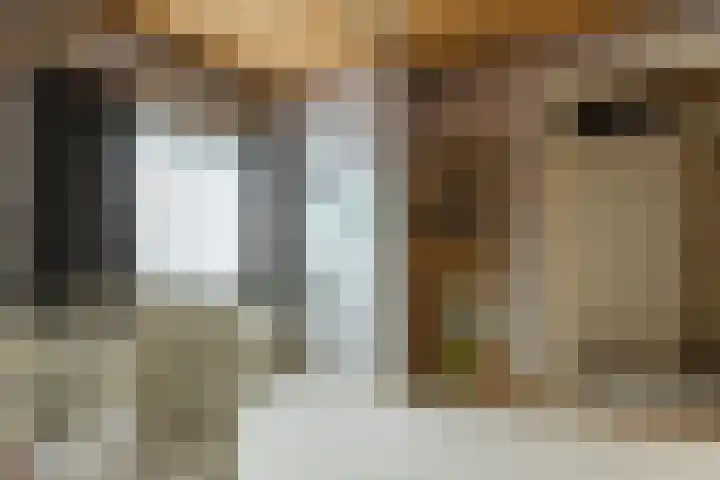 Oekelsebaan 57 Zundert thumbnail 25