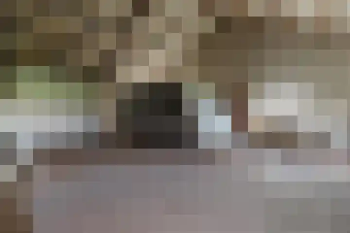 Oekelsebaan 57 Zundert thumbnail 35