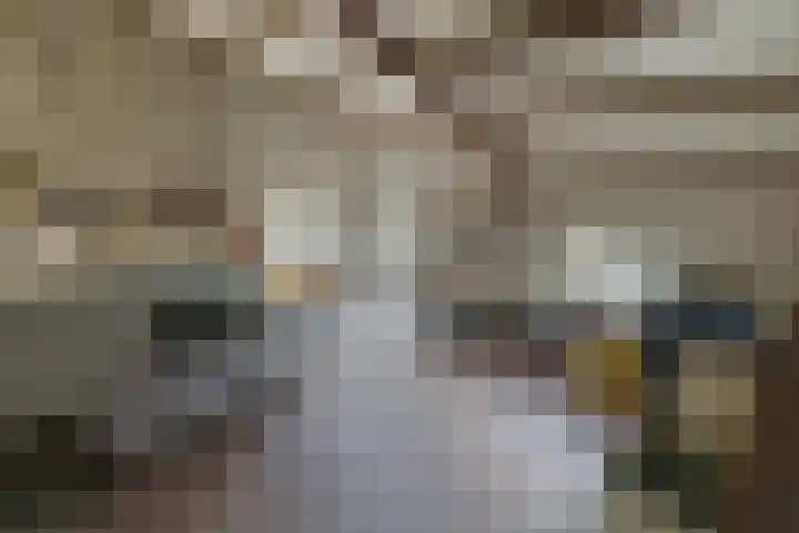 Oekelsebaan 57 Zundert thumbnail 37