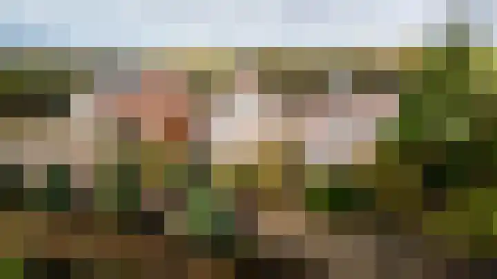 Oekelsebaan 57 Zundert thumbnail 46