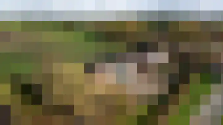 Oekelsebaan 57 Zundert thumbnail 5