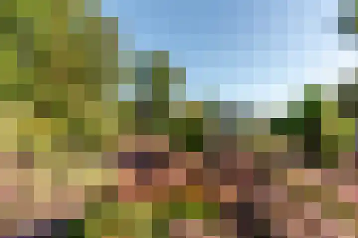 Oenerweg 1 a Heerde thumbnail 11