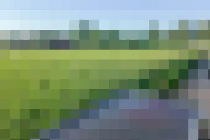 Oenerweg 1 a Heerde thumbnail 18