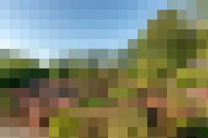 Oenerweg 1 a Heerde thumbnail 4