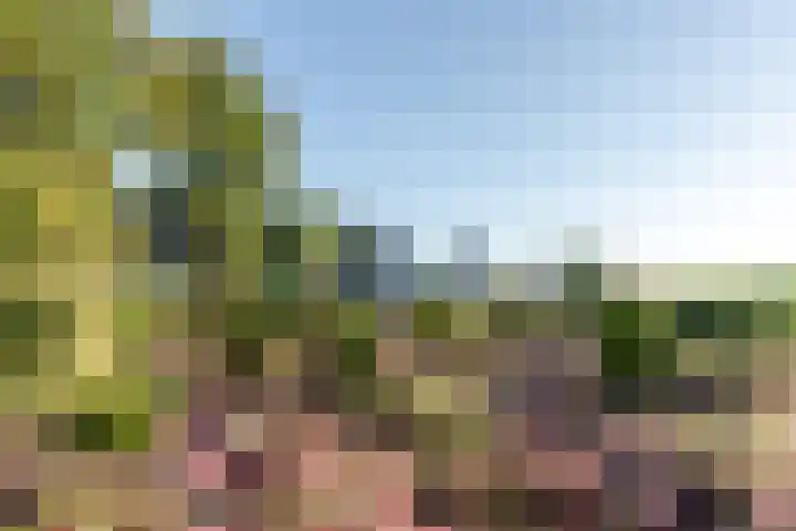 Oenerweg 1 a Heerde thumbnail 8