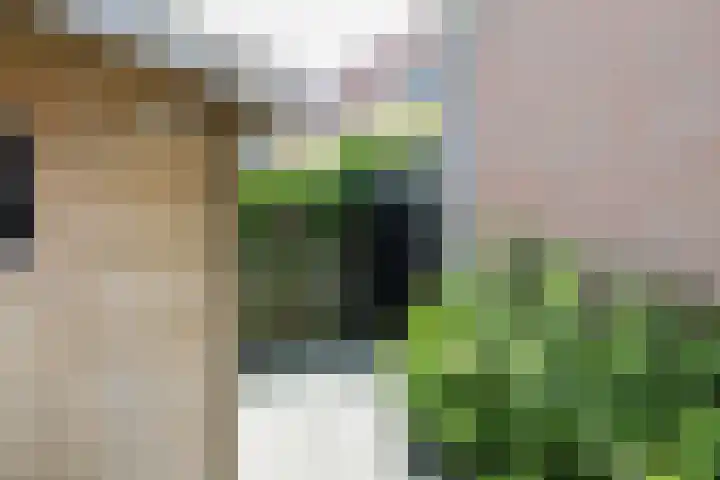 Oer de Barten 18 Warten thumbnail 65