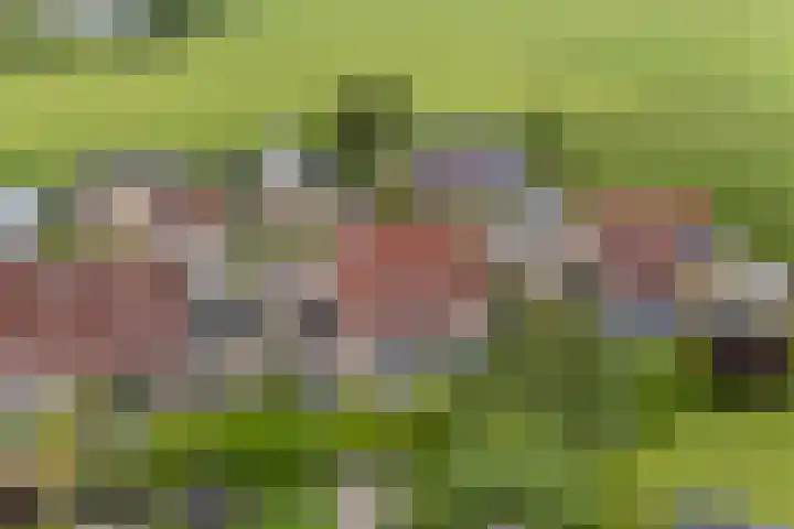 Oer de Barten 18 Warten thumbnail 7