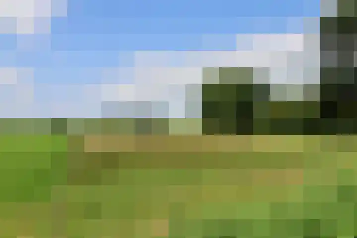 Oer de Barten 18 Warten thumbnail 72