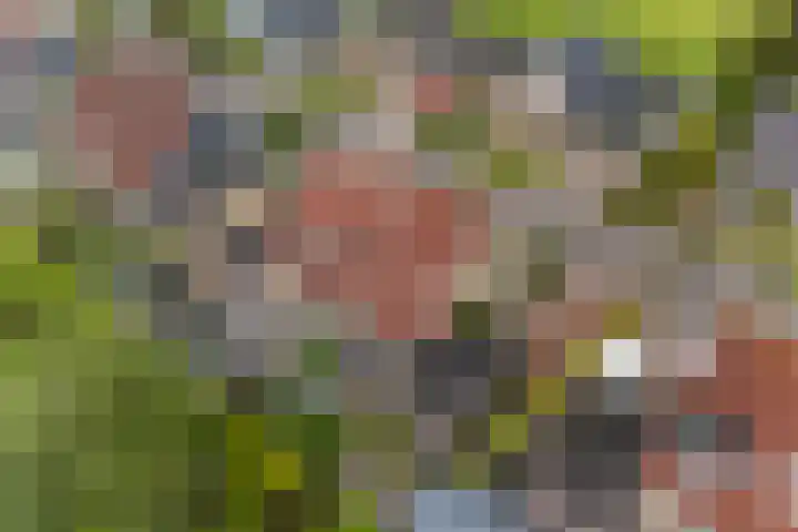 Oer de Barten 18 Warten thumbnail 77