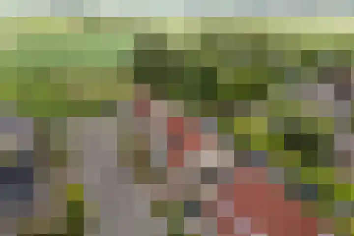 Oer de Barten 18 Warten thumbnail 79