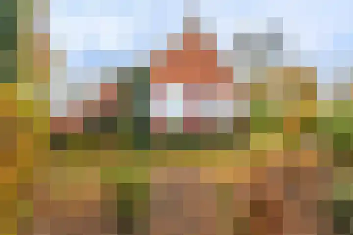 Oerdeweg 32 Wedde thumbnail 11