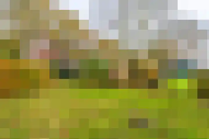 Oerdeweg 32 Wedde thumbnail 13
