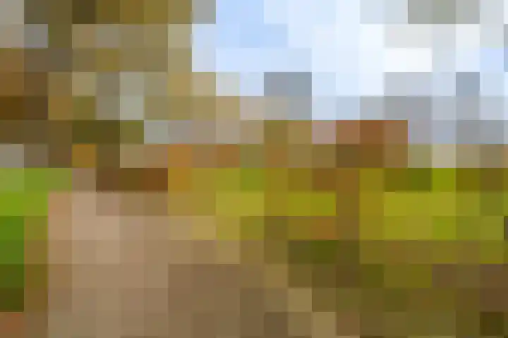 Oerdeweg 32 Wedde thumbnail 7