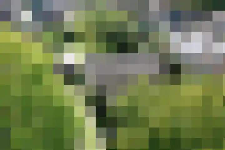 Oerdijk 174 Lettele thumbnail 30