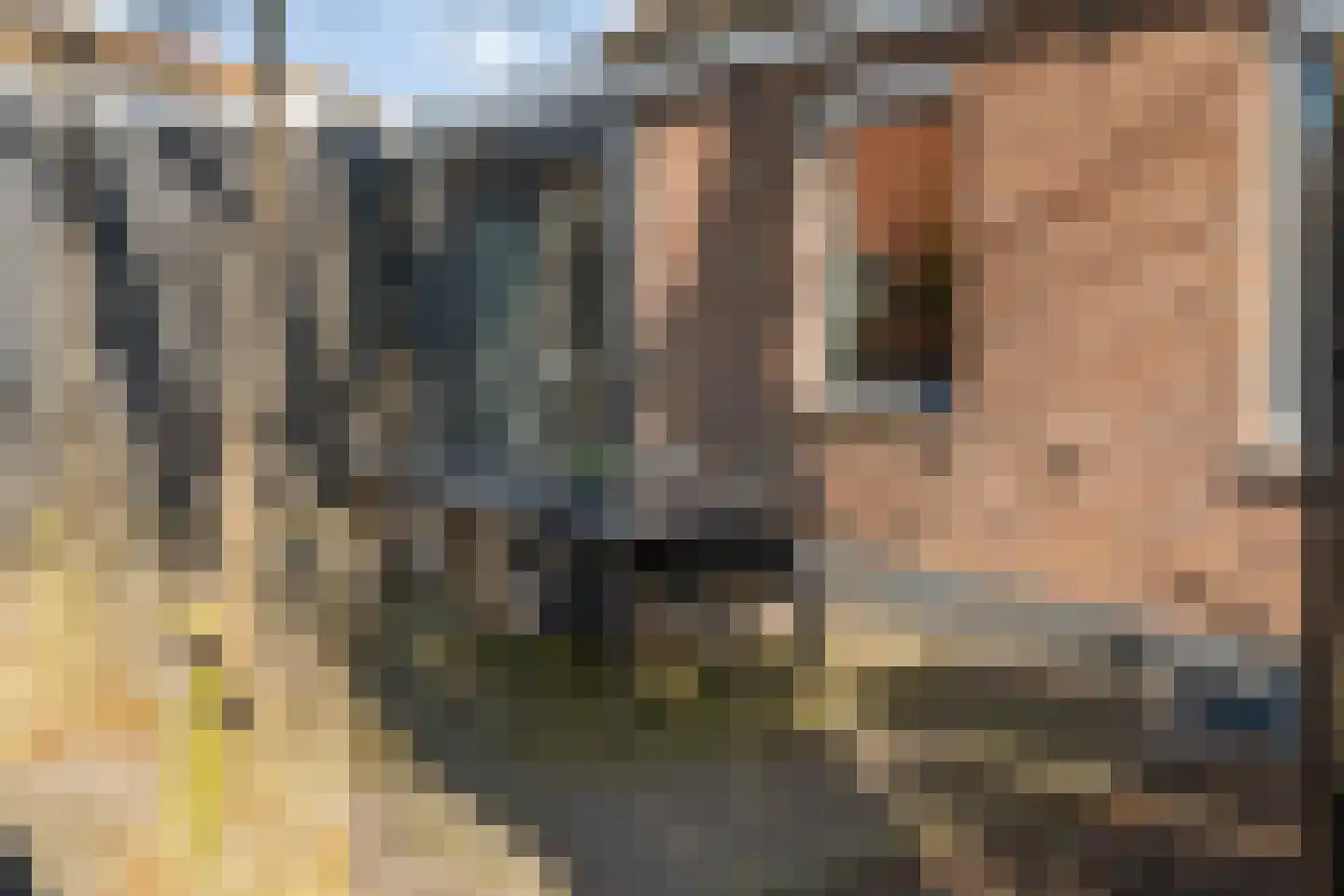 Oerdijk 3 A Schalkhaar thumbnail 28