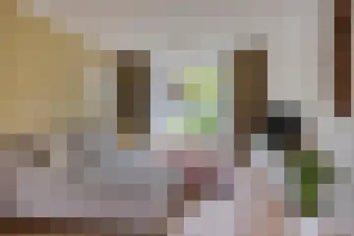 Oerdijk 6 Schalkhaar thumbnail 13