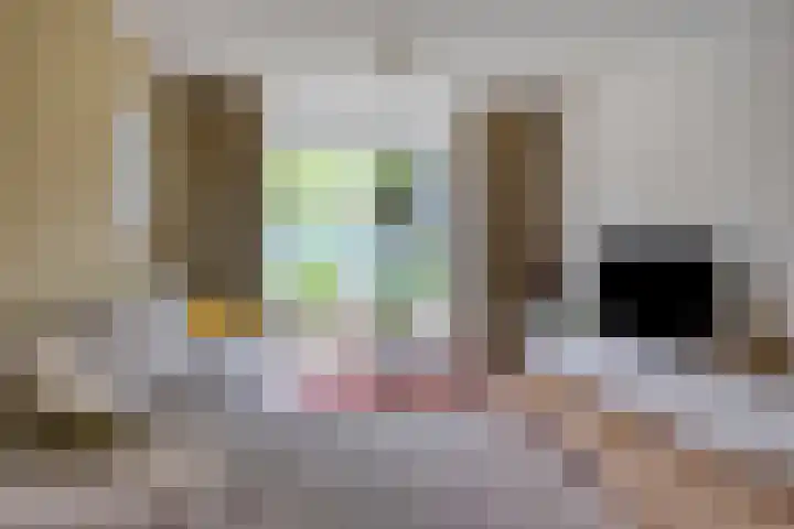 Oerdijk 6 Schalkhaar thumbnail 14