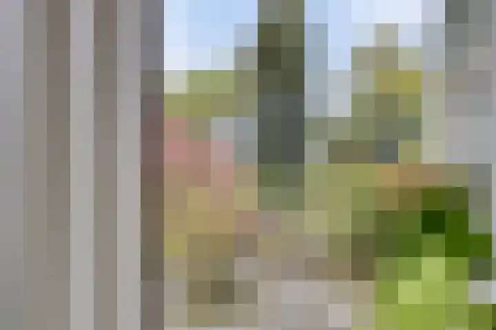 Oerdijk 6 Schalkhaar thumbnail 16