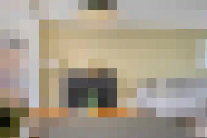 Oerdijk 6 Schalkhaar thumbnail 22