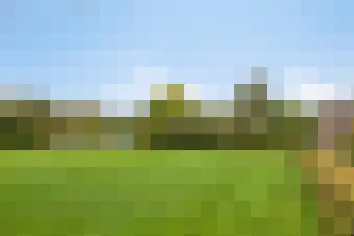 Oerdijk 6 Schalkhaar foto 3