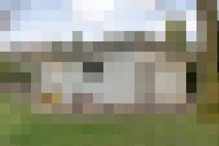 Oerdijk 6 Schalkhaar thumbnail 31