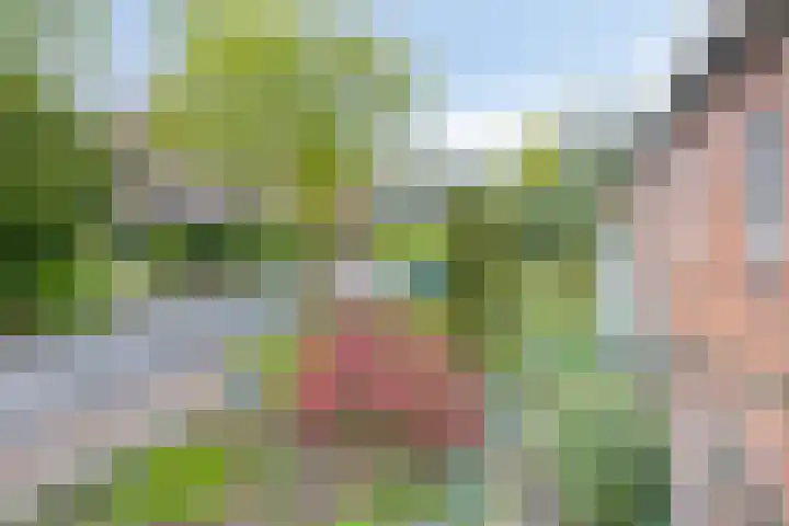 Oerdijk 6 Schalkhaar thumbnail 44