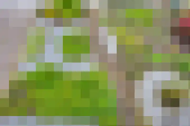 Oerdijk 6 Schalkhaar thumbnail 45