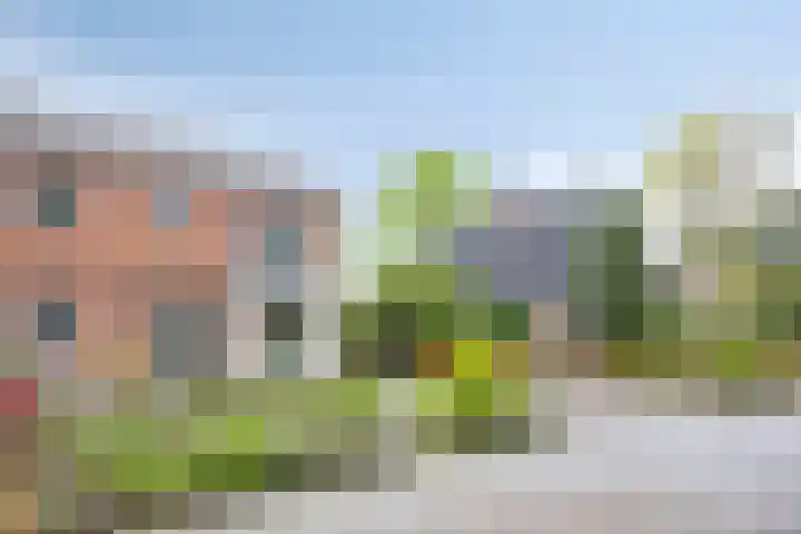 Oerdijk 6 Schalkhaar thumbnail 5