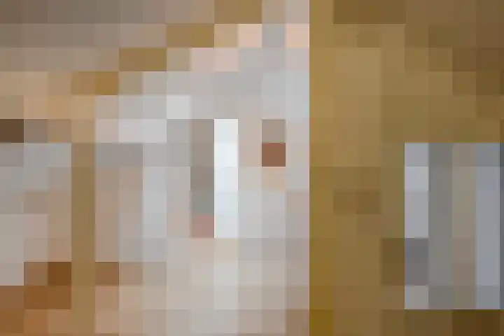 Oerdijk 6 Schalkhaar thumbnail 52