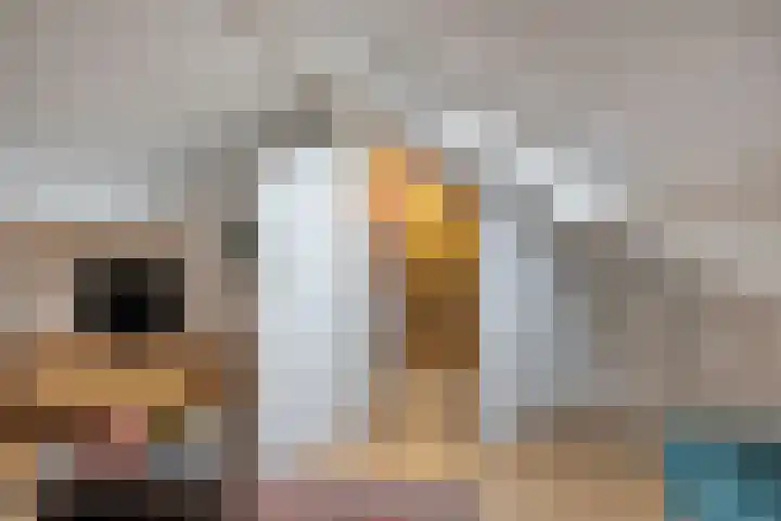 Oerdijk 6 Schalkhaar thumbnail 54