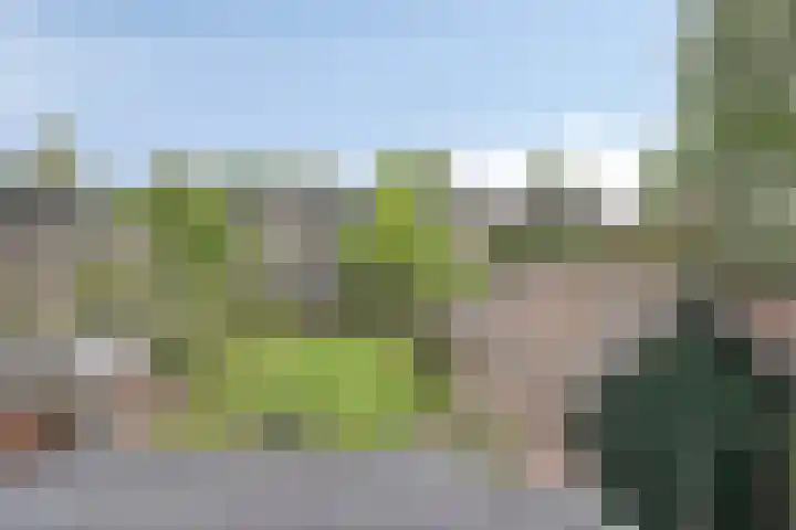 Oerdijk 6 Schalkhaar thumbnail 55