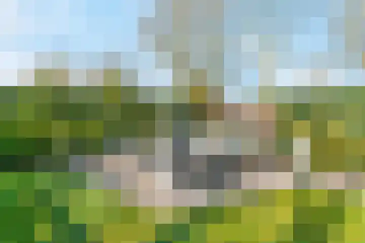 Oerdijk 6 Schalkhaar thumbnail 56