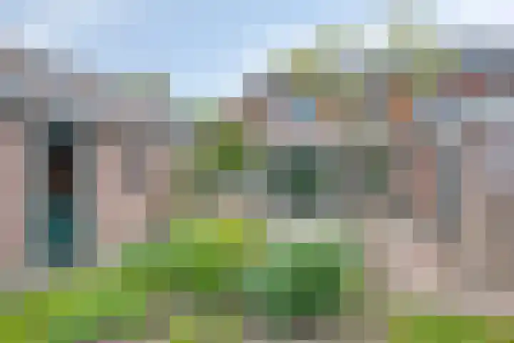 Oerdijk 6 Schalkhaar thumbnail 60