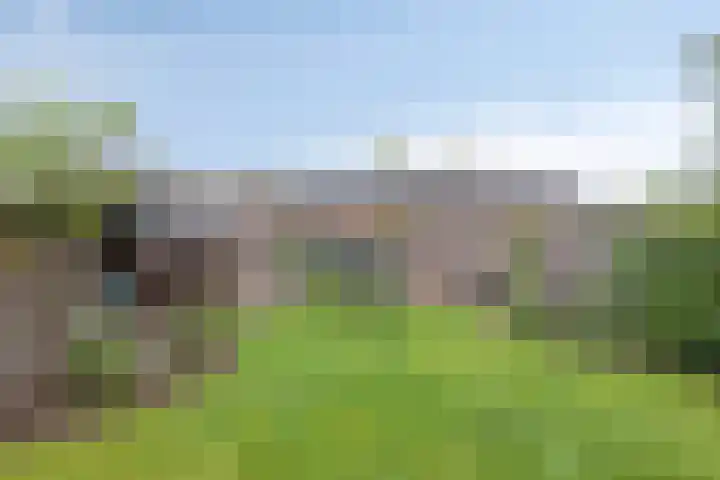 Oerdijk 6 Schalkhaar thumbnail 66