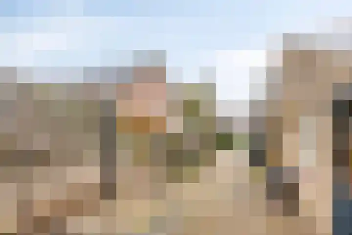 Oerdijk 80 Schalkhaar thumbnail 32