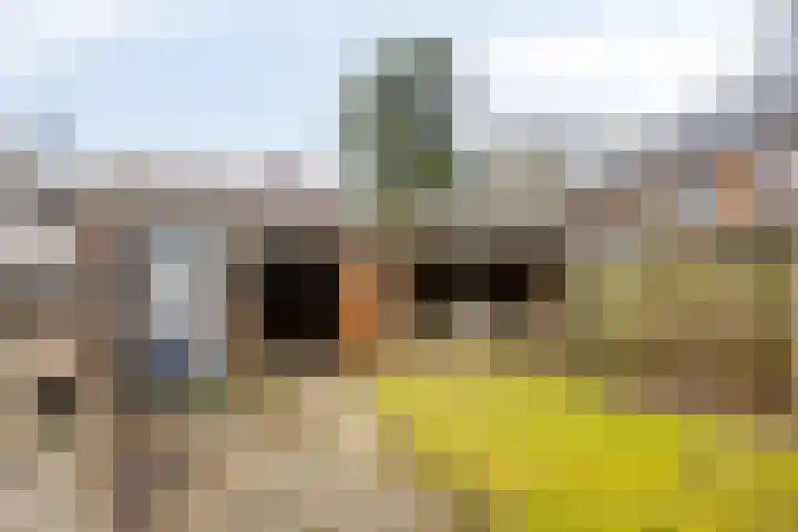 Oerdijk 80 Schalkhaar thumbnail 38