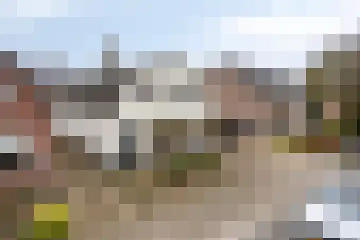 Oerdijk 80 Schalkhaar thumbnail 44