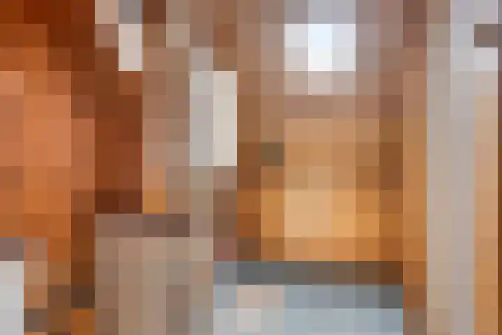 Oerlesestraat 164 Tilburg thumbnail 19