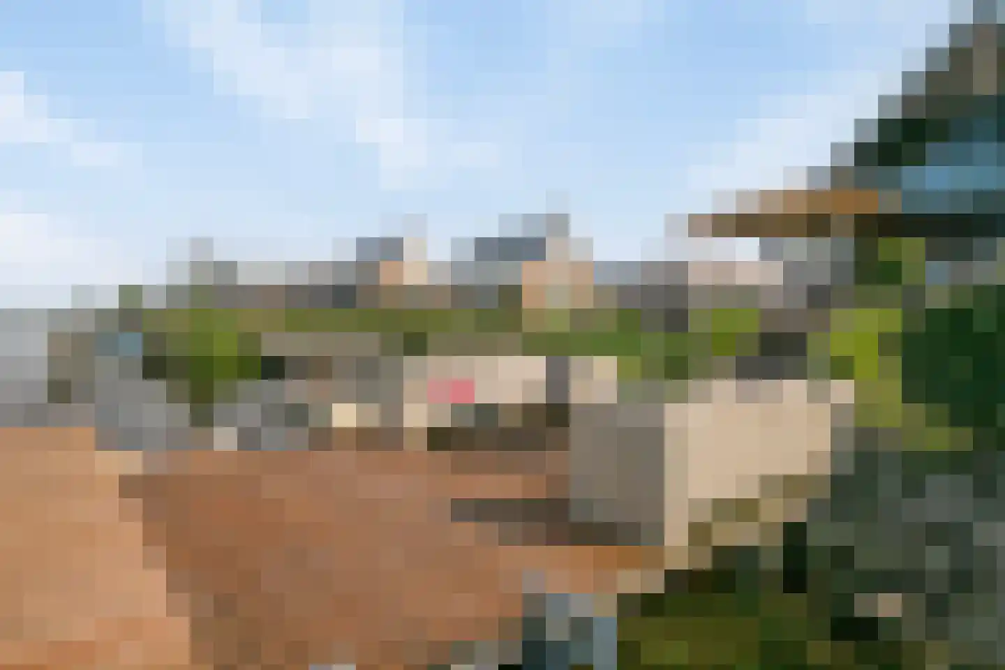 Oesterdam 219 Tholen thumbnail 12