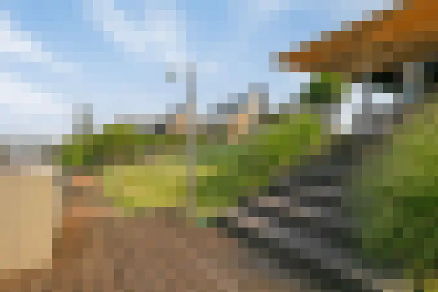 Oesterdam 219 Tholen thumbnail 13