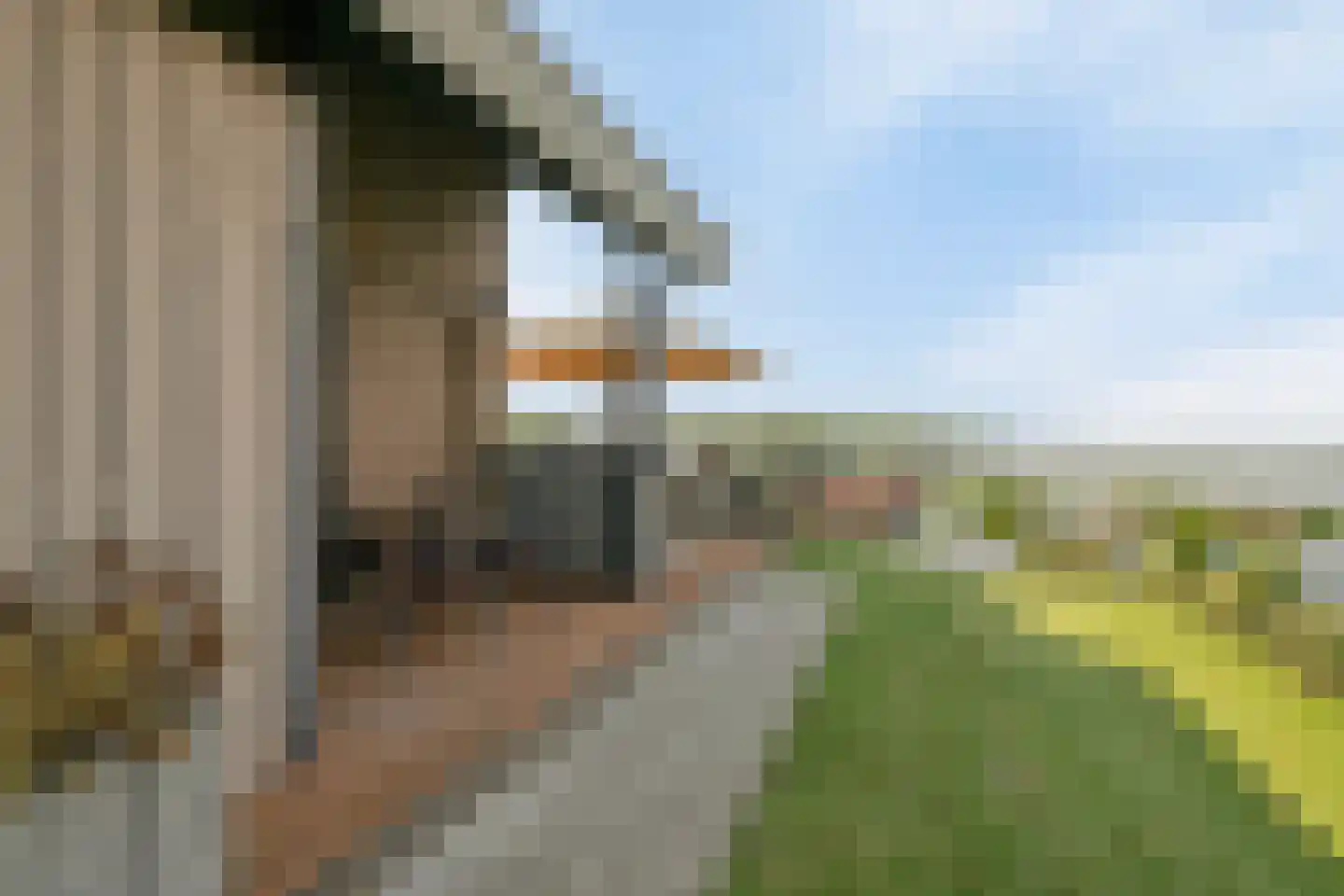 Oesterdam 219 Tholen thumbnail 19