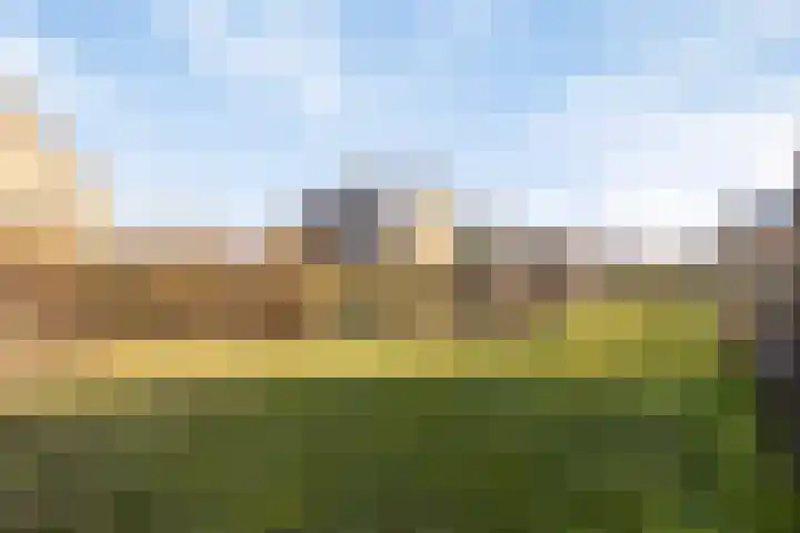 Oesterdam 245 Tholen thumbnail 28