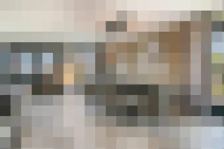 Oesterdam 327 Tholen thumbnail 24