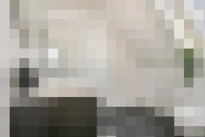 Oesterdam 327 Tholen thumbnail 39