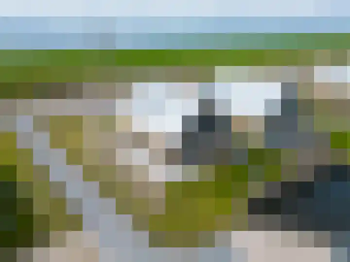 Oesterdam 327 Tholen thumbnail 5